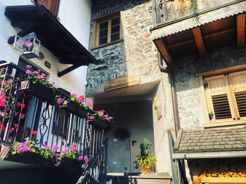 Affittacamere Ceschi Baselga di Pinè Exteriér fotografie